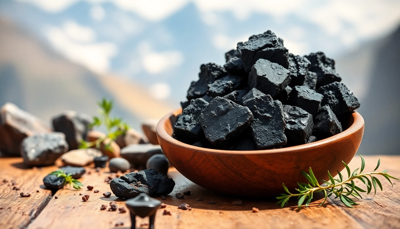 Buy Shilajit Australia with premium resin presented in a natural setting, emphasizing its authentic Himalayan origins.